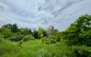 Vila cu 5 camere *616mp* / 1600mp teren / Corbeanca - Poză 3