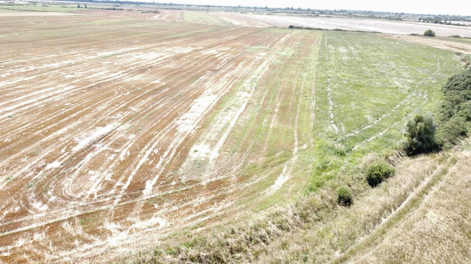 PUZ rezidential /servicii de vanzare Sacalaz - Poză 8