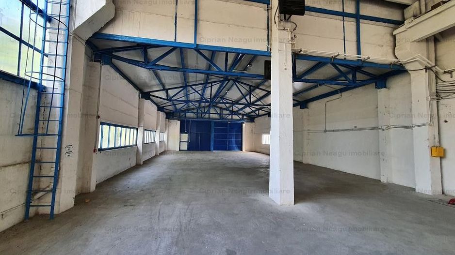 Hala De Inchiriat, zona Depozitelor Pitesti - Poză 7