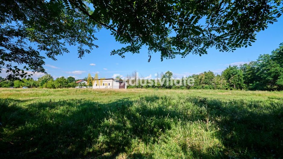 Teren Intravilan 1100 mp + Anexă 120 mp - Budeasa, Calotesti! - Poză 3