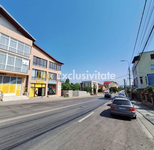 Spatiu Comercial Multifunctional Banat-CLASA A - Poză 2