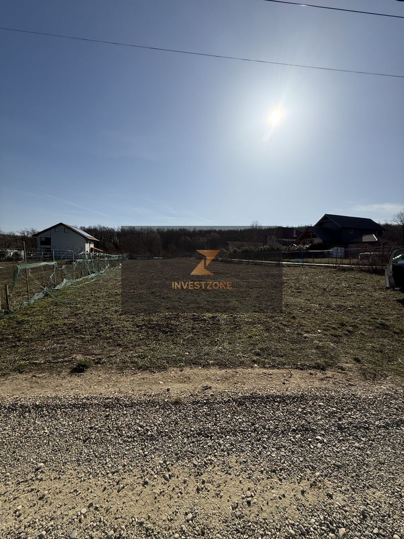 Teren intravilan 700 mp cu utilități în Paleu - Poză 2