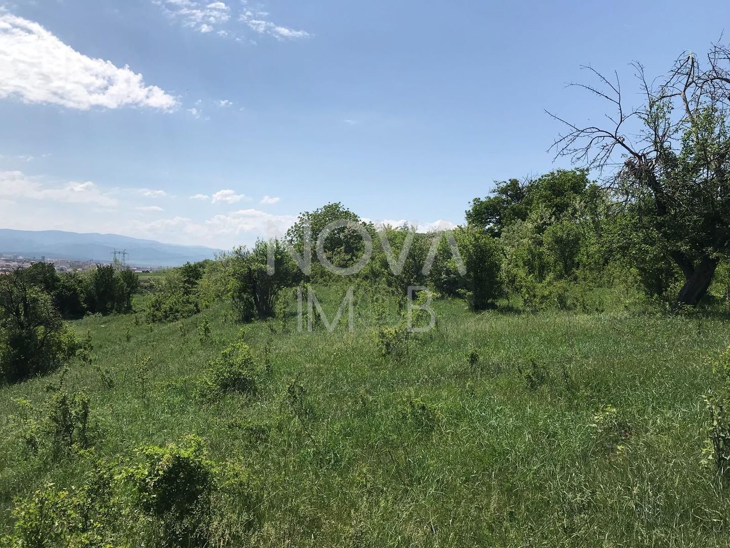 Teren extravilan - 8000 mp, Gusterita - Poză 4