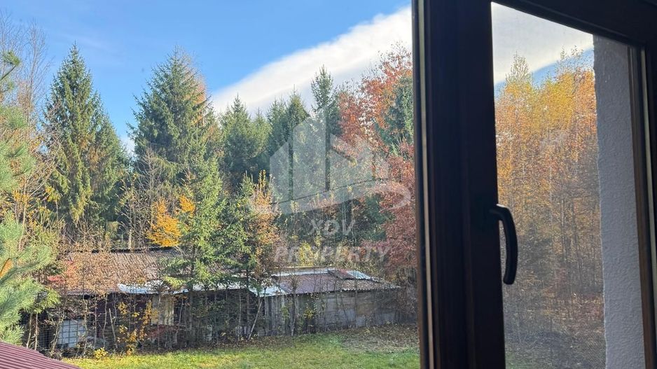 Pensiune/ Vila Valea Avrigului - Poză 23