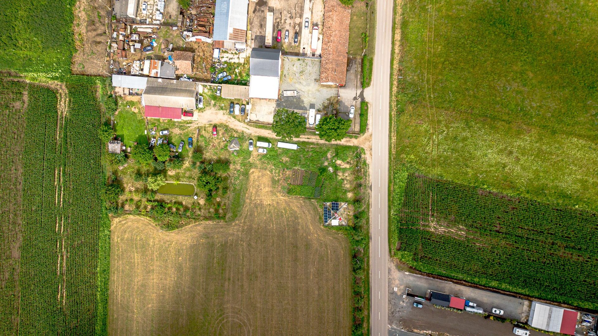 Teren intravilan 5500 mp Sânleani - Poză 5