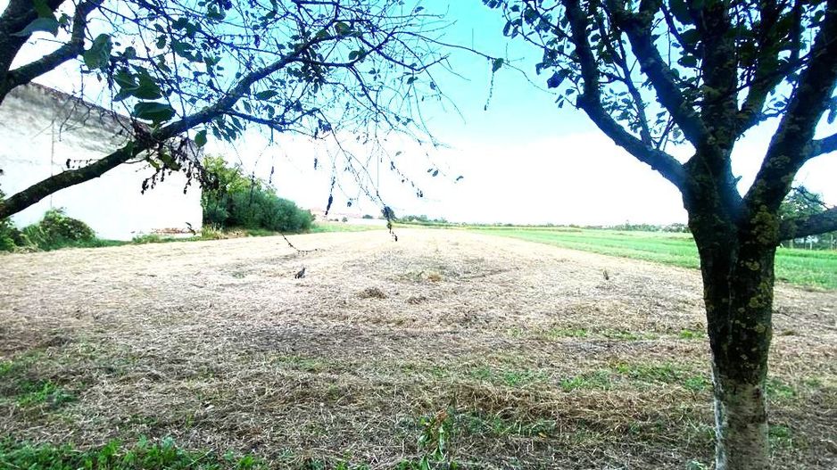 Terenuri de vânzare Boldur - Poză 3