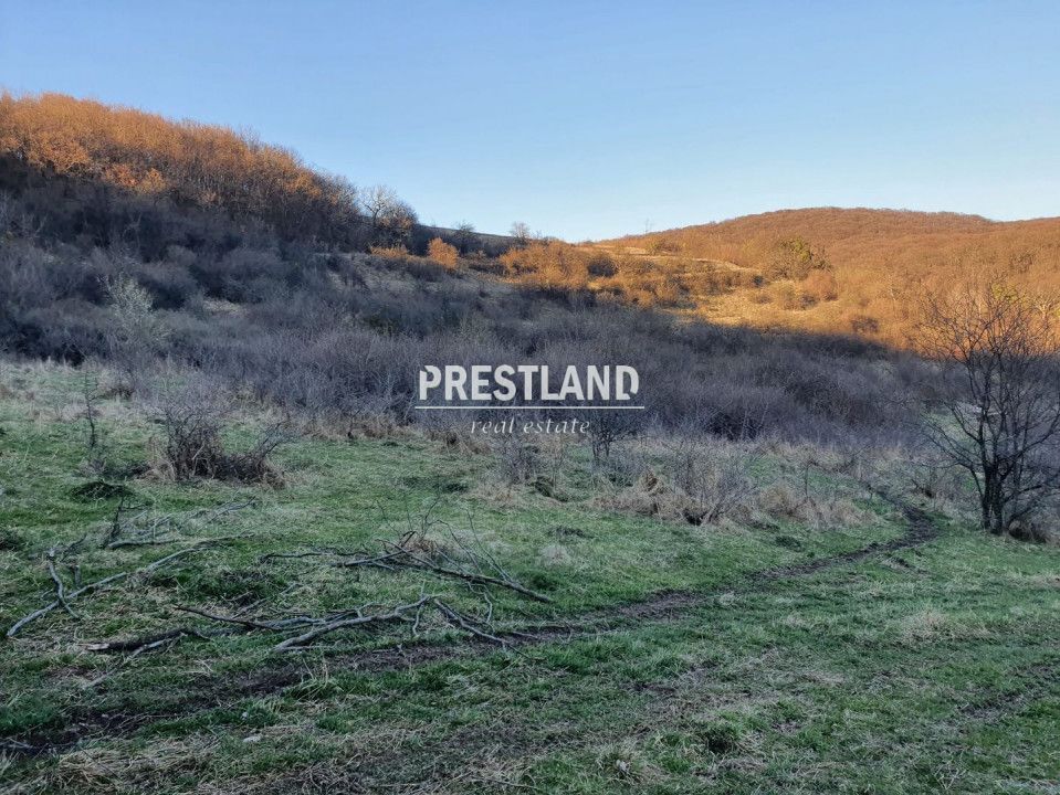 Teren 46.300 mp-zona Gușterița!! - Poză 5