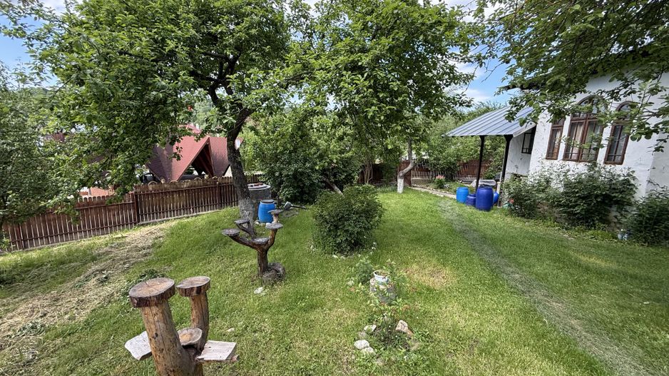 2 Case + teren 1390 mp langa parcul central Provita de Sus - Poză 39