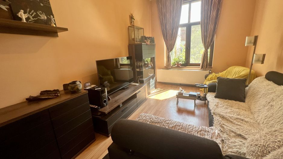IMOBIL CU GRADINA PROPRIE - Poză 7