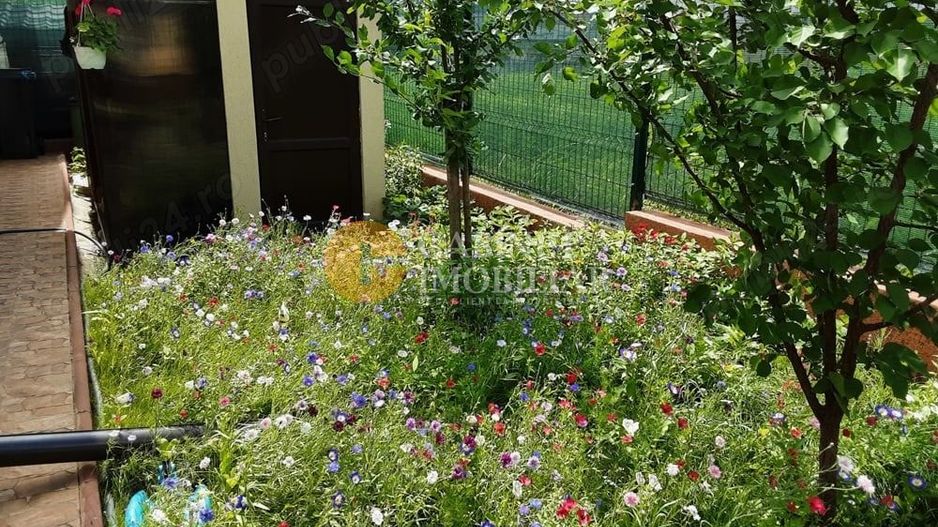 Casa individuala in Dancu - La asfalt - mobilata - toate utilitatile - Poză 8