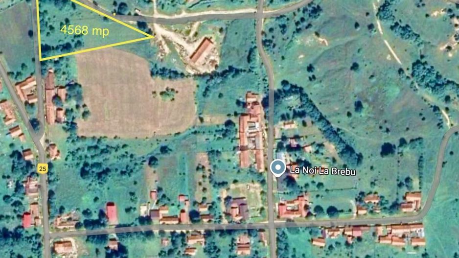 Teren intravilan 4.568 mp, 2 fronturi – Brebu Nou, Caraș-Severin - Poză 1