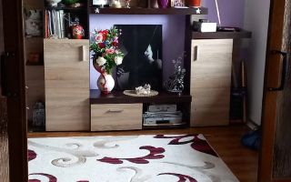 Apartament 2 camere, etaj 2, zona Bucium, Iasi - 100.000 EUR - Poză 4