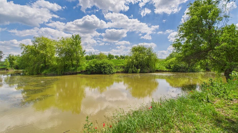 Teren cu baltă- oportunități multiple la Fibiș - Poză 21