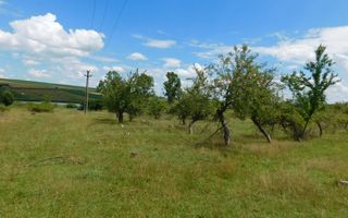 Teren 3860 mp lângă salba de lacuri a Acumulării Piscicole Mărtinești - Poză 9