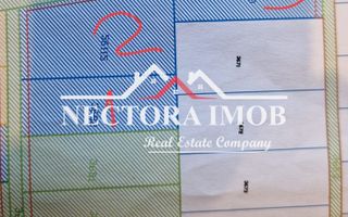NECTORA IMOB-3 PARCELE DE 900,1056,1350 mp, Zona Paleu, limita Oradea - Poză 3