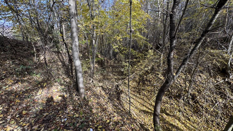 TEREN INTRAVILAN 13167 MP BUGHEA DE SUS ARGES - Poză 28