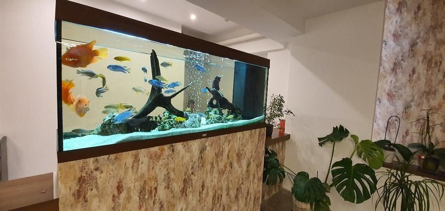 Apartament Baneasa/ Petrom City - Poză 14