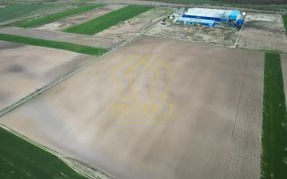 Teren extravilan pentru constructii industriale 5ha | Sag | Frigoglass - Poză 5