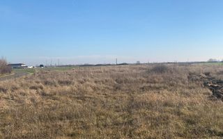 Teren pentru duplex in Sacalaz - 600 mp, in Spatele Cartierului Primaverii - Poză 7