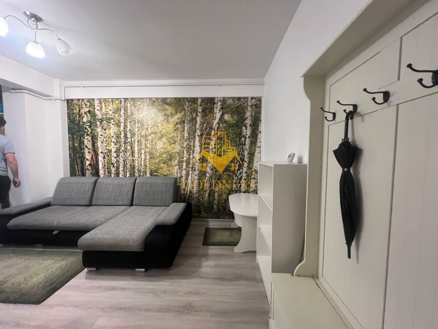 2 Camere, Modern, AC, Zona FSEGA, Iulius Mall, Intre Lacuri - Poză 7