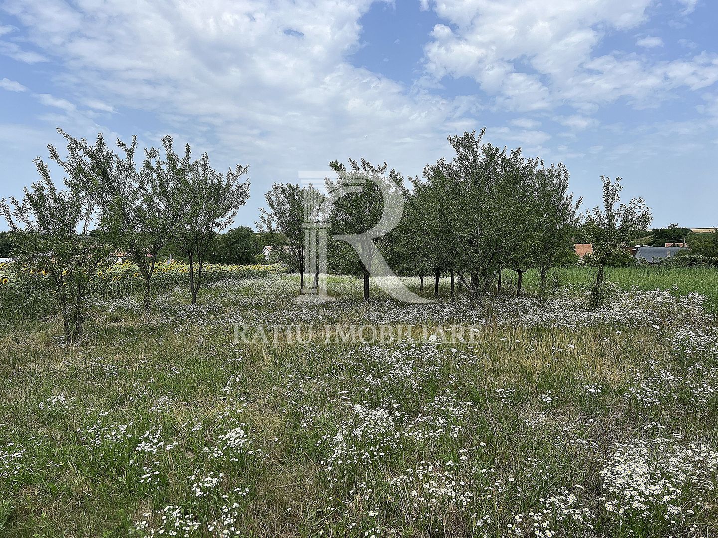 Casa de vacanta | Târgușor | Bihor - Poză 22