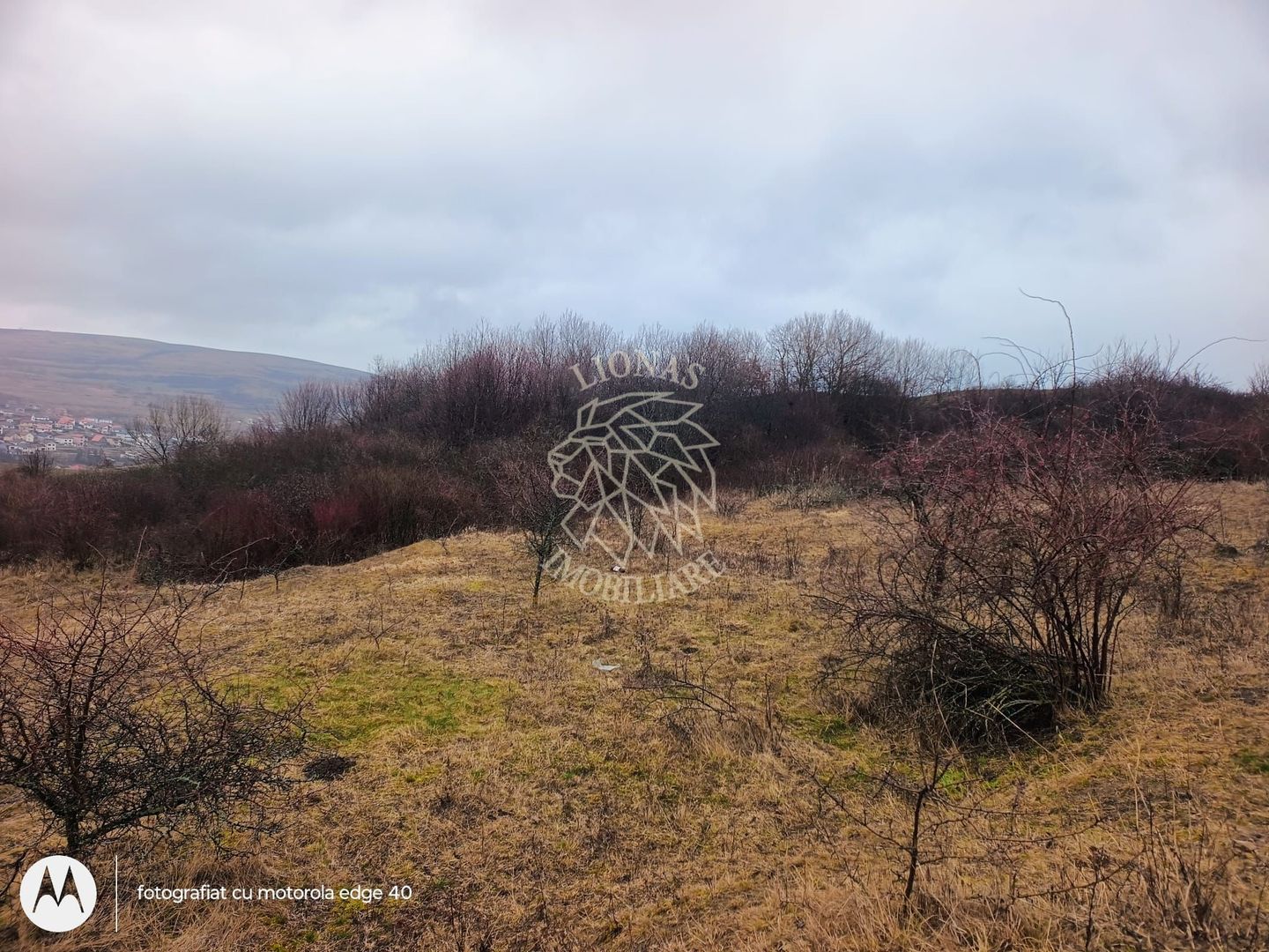 Teren 10000mp intravilan Chinteni 14 case aprobate  Investiție dezvoltator - Poză 2