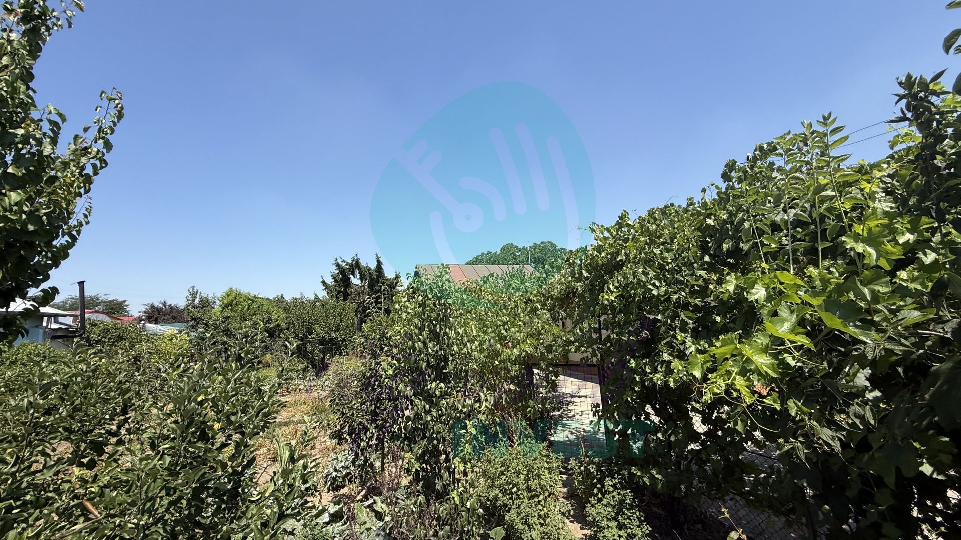 Casă parter + 1100 mp teren în Popești-Leordeni - Poză 7