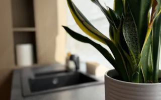 Apartament PREMIUM cu curte, terasă și lift cu acces direct în living - Poză 34