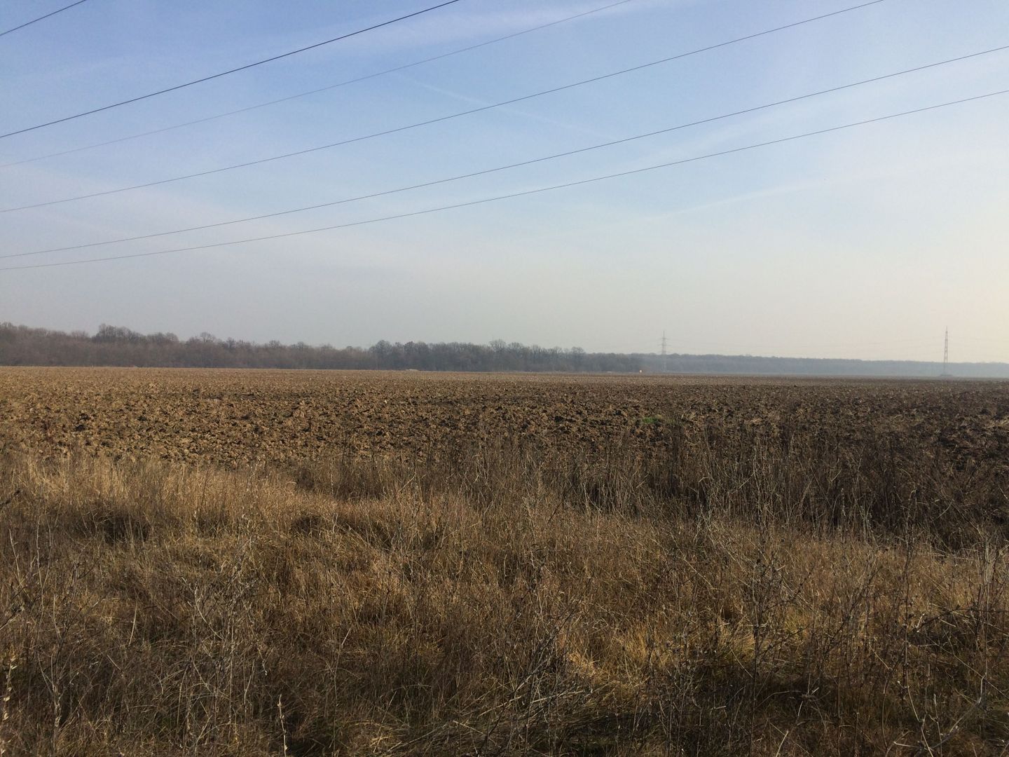 teren Cernica sat Caldararu - Poză 6