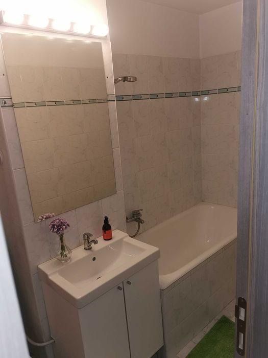 Apartament 2 Camere, Calea Mosilor - Poză 6