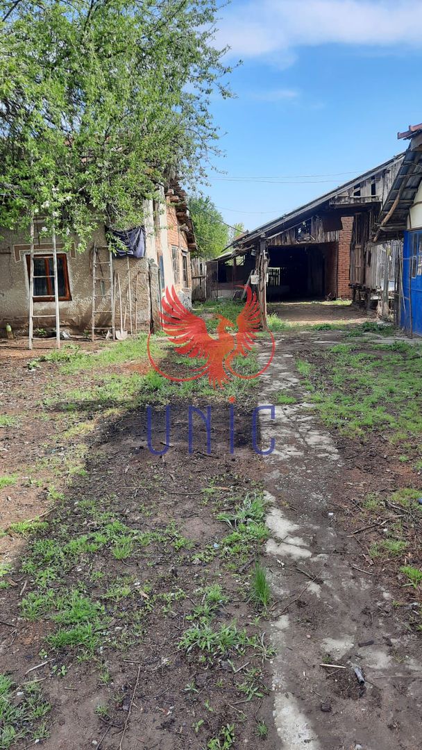 Casa cu teren de 1969 mp - Amarastii de Jos - Poză 6