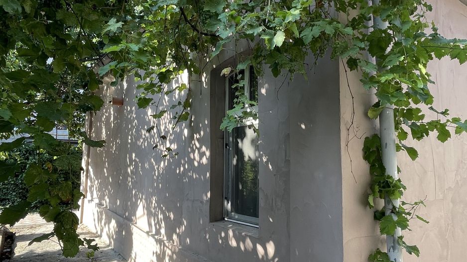 Apartament Casa + Anexa | Traian | Pache | Popa Nan | curte - Poză 9