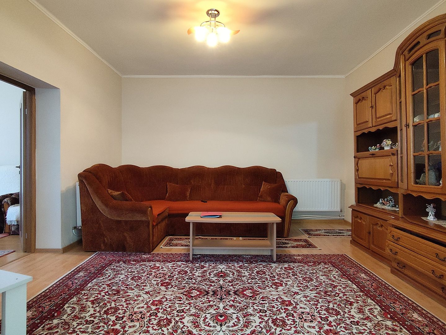 Casa la tara in Sacadat, Bihor, teren 2826 mp, acces auto - Vanzare - Poză 1