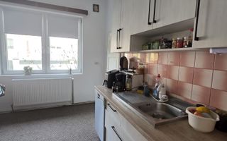 Apartament la casa 72 mp utili pet friendly si curte in zona Lazaret - Poză 7