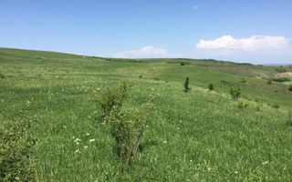 Vanzare teren pentru casa/duplex cu PUZ, la 6 min de Cluj-Napoca - Poză 6