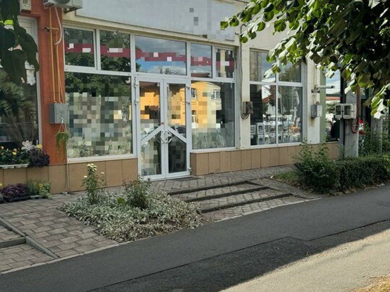Spatiul comercial cu vitrina, vad excelent trafic, Uta Arad - Poză 5