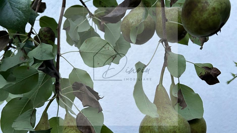 Vila de vanzare in Tunari I Gata de mutat I 4 camere I 5 parcari - Poză 55