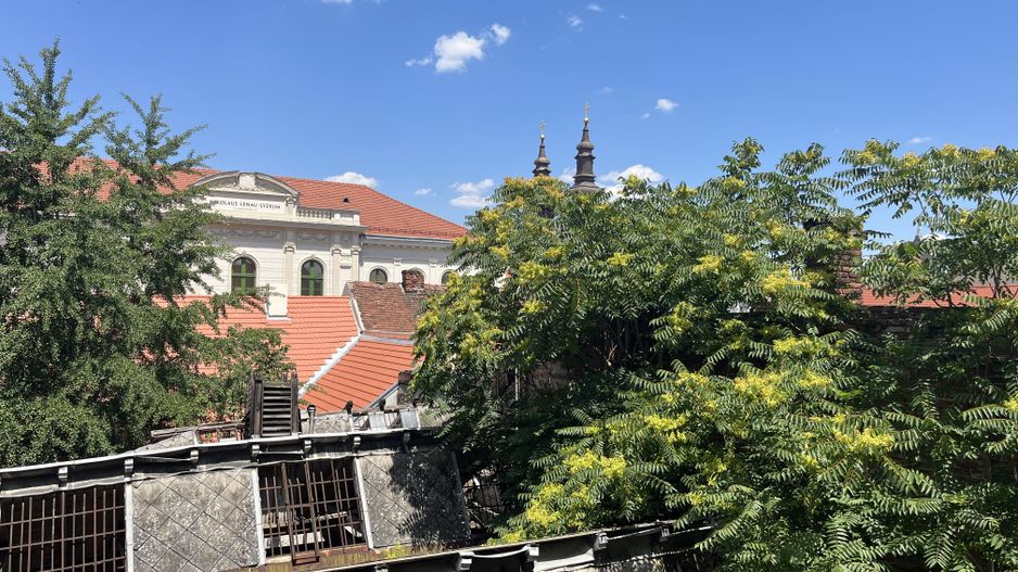 Apartament 2 camere, renovat, in Piața Unirii - Poză 19