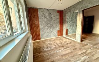 BRASADAS închiriază vila - zona Popa Nan, Calea Calarasilor. - Poză 11