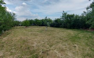 Teren intravilan de vânzare | 900 mp | Movila | Toate utilitatile - Poză 1