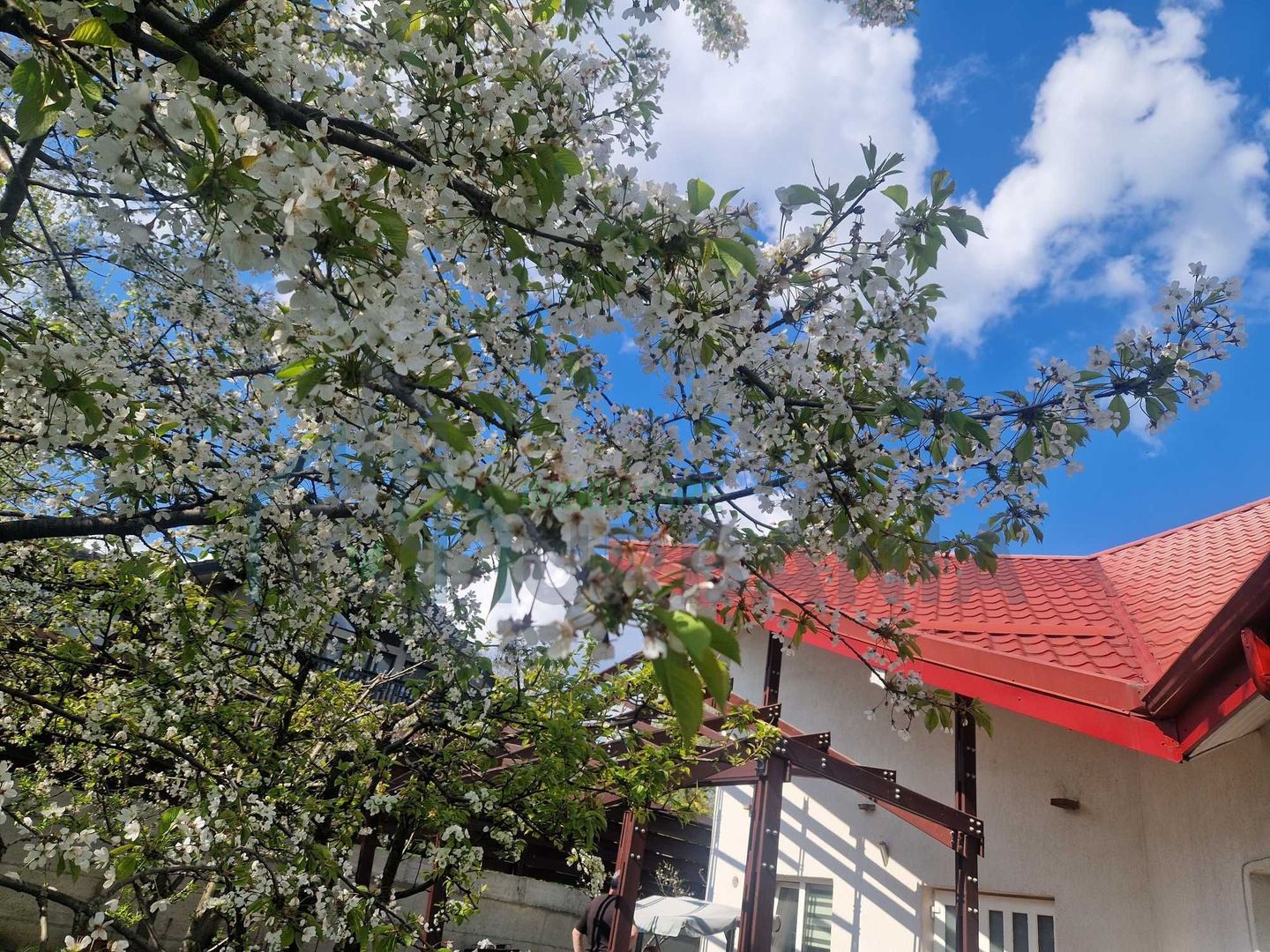 Casă de închiriat în cartierul Bucium, Iași - Poză 2