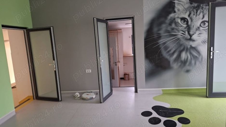 BRASADAS vinde casa 4 cam Sararie - Copou. - Poză 6