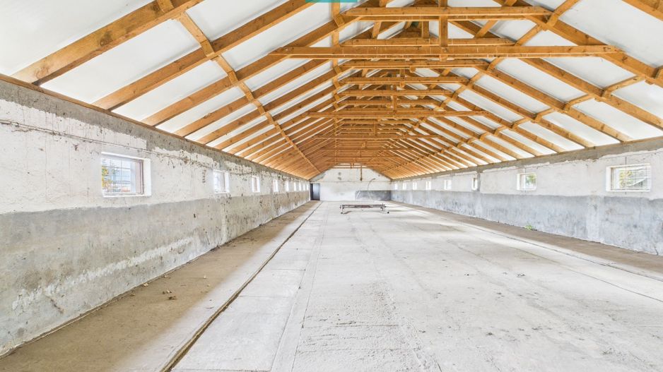 Hală pentru producție / fermă zootehnică  - Variaș - Poză 13