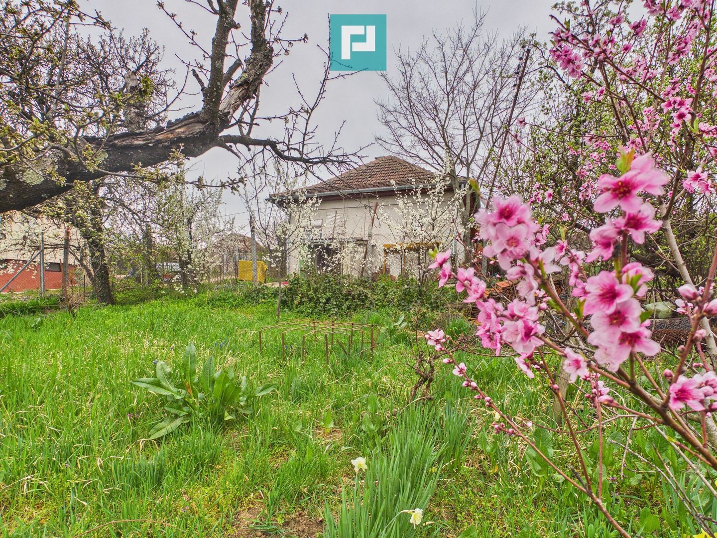 Ieftin - Casă cu teren 842mp, zona Dealuri, Oradea - Poză 1