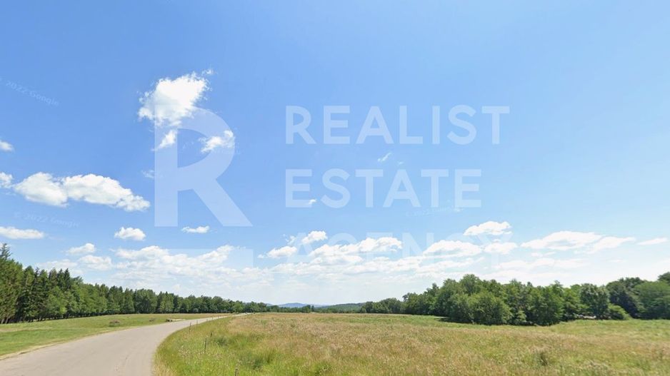 Teren intravilan 4,2 ha de vânzare| ideal investiție| POT 40%| Teișani - Poză 3