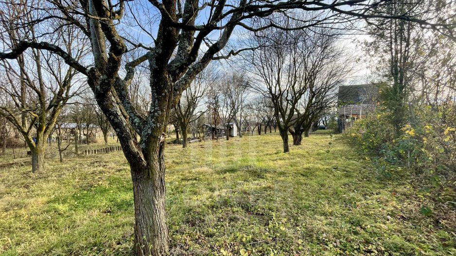 Teren intravilan 1.915 mp + cabană din lemn | Tocile – Sadu - Poză 9