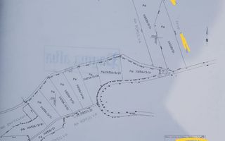 Teren forestier de 10.000 mp în zona Bucium, Iași – Oportunitate de investiție - Poză 2