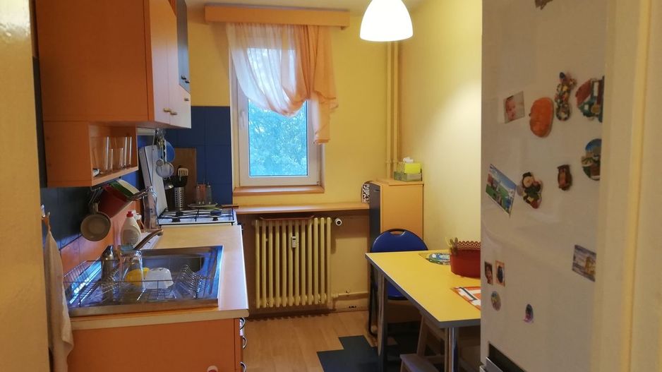 Apartament 2 camere de inchiriat, parcare, Pet Friendly - Drumul Taberei - Poză 7
