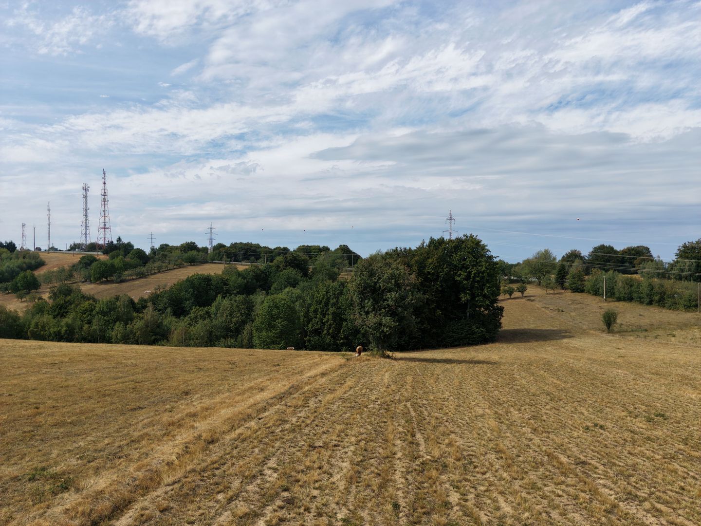 Teren Intravilan 17.800 mp Șinteu - Poză 2