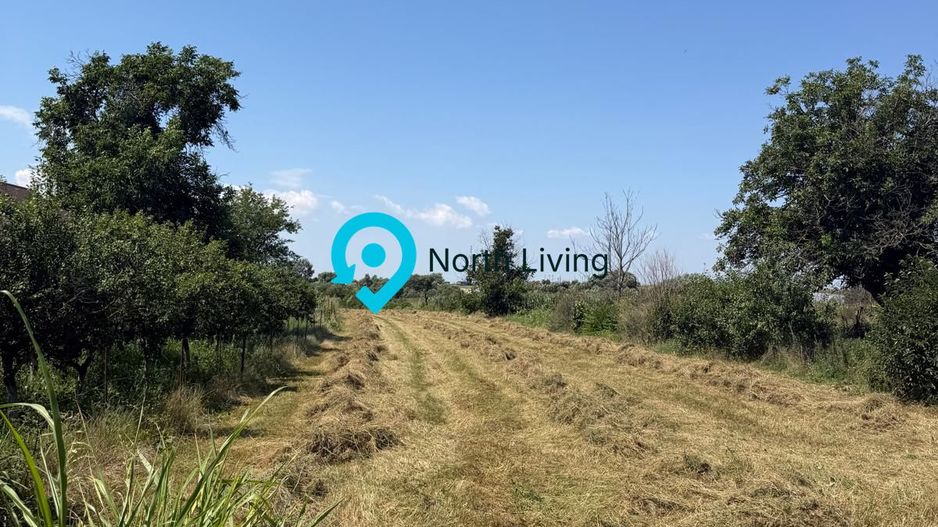 Teren intravilan 4.000 mp Comana (Budeni) | 10 €/mp negociabil | Comis - Poză 5